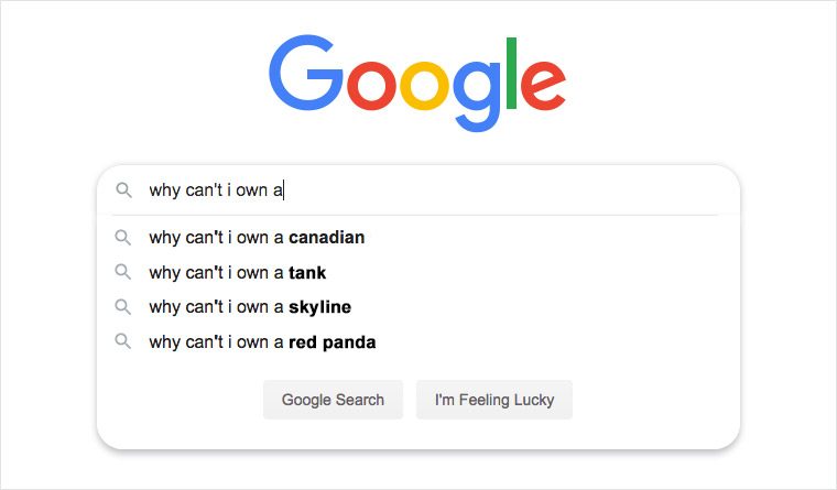 Google search bar suggests queries; "why can't I own a Canadian, tank, skyline, red panda" after typing "why can't I own a".