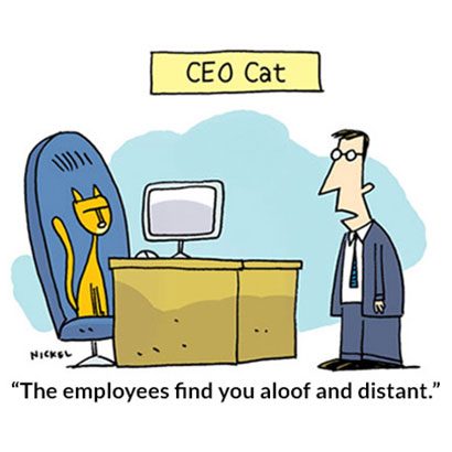 15 Cute Cat Cartoons for a Funny Feline Fix