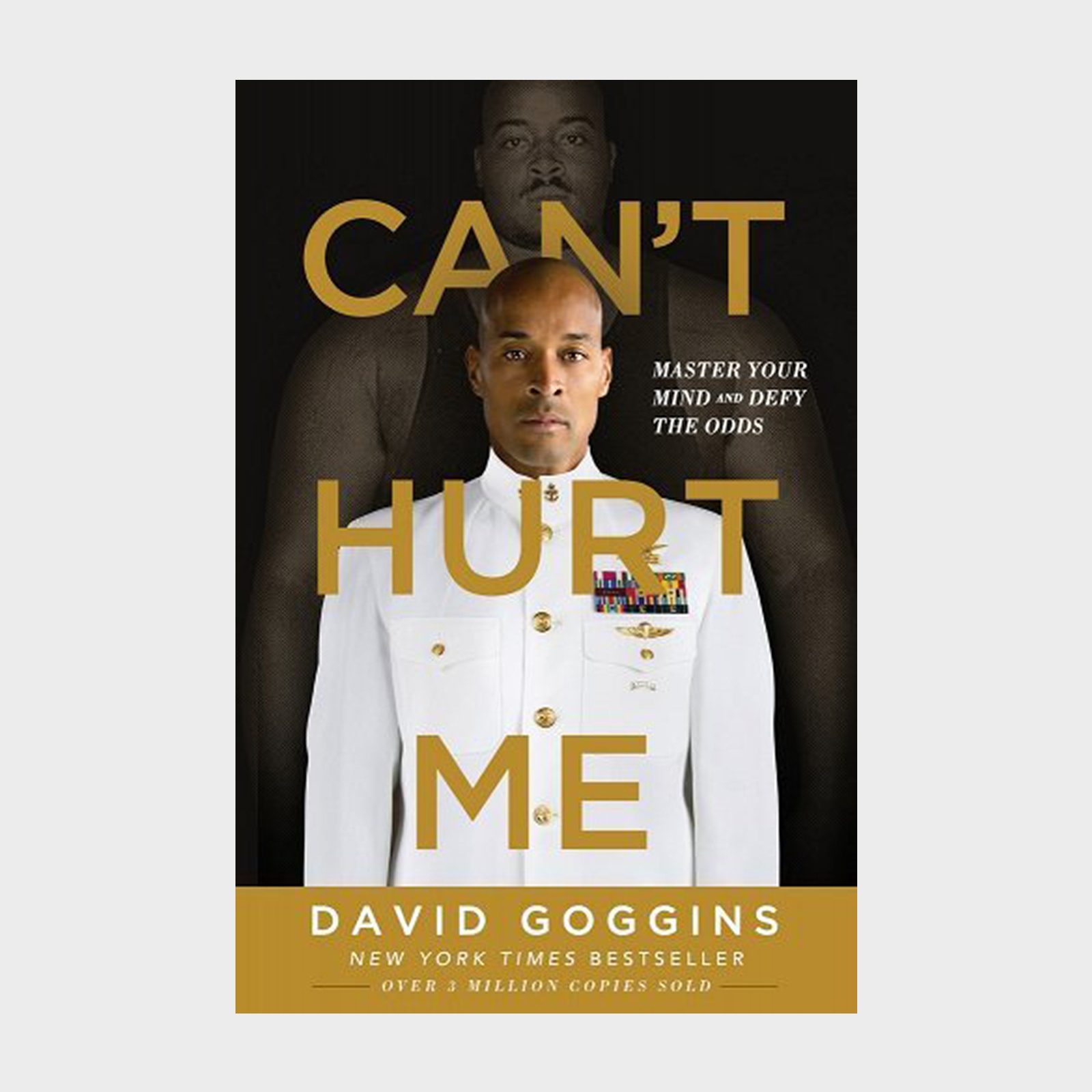 Cant Hurt Me Book
