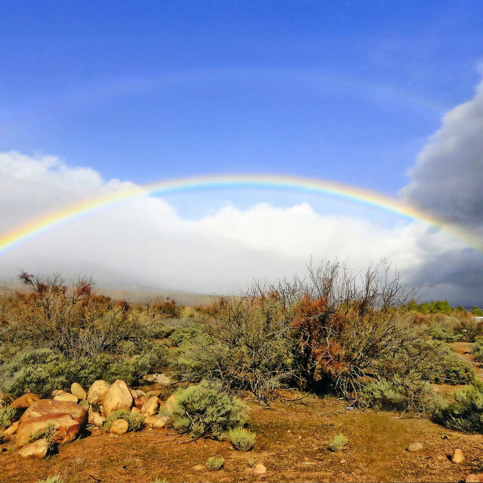 Rainbow