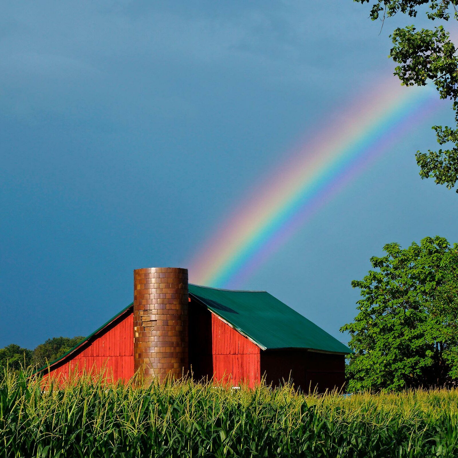 Rainbow