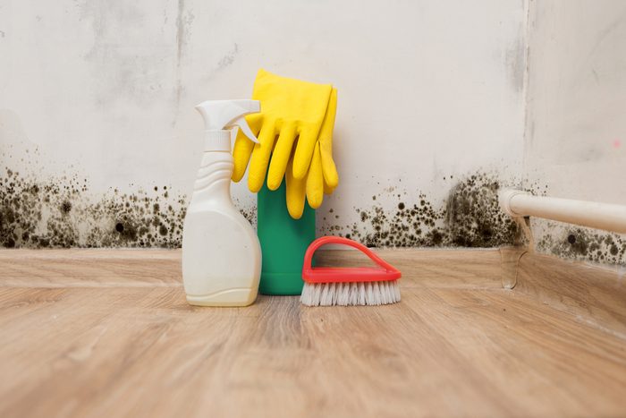 12 Hidden Signs Your House Could Have Toxic Mold