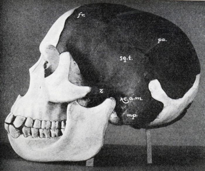 12 Famous Hoaxes That (Almost) Fooled Everyone