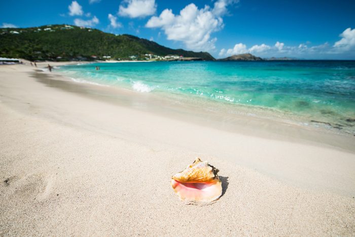 15 Beaches with the Best Shells in the World