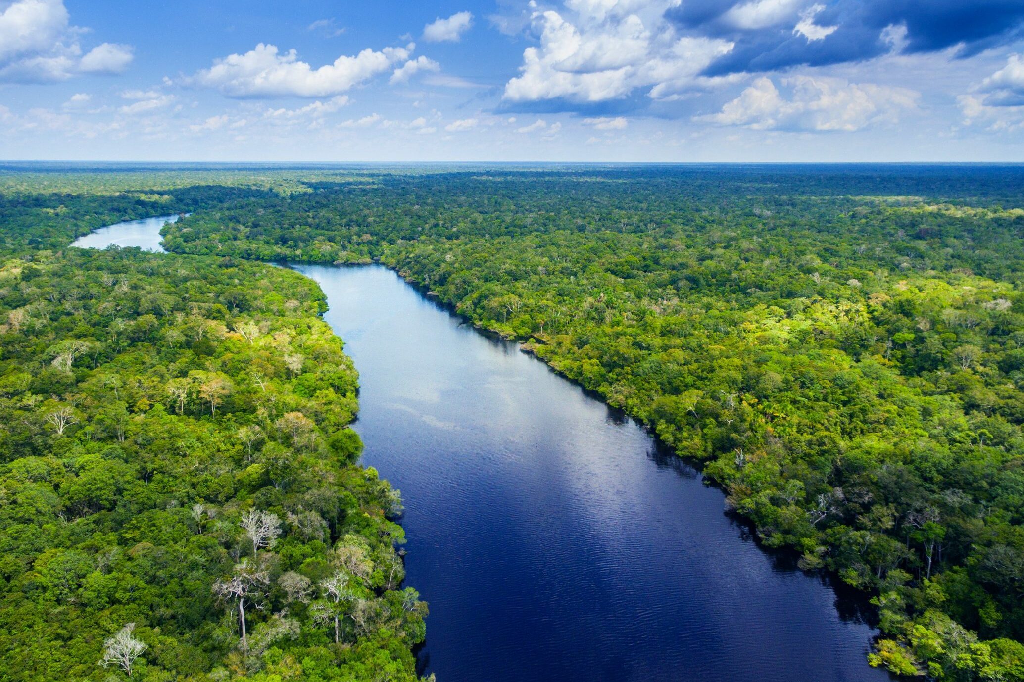 River winds through dense, green forest under a bright blue sky with scattered clouds.