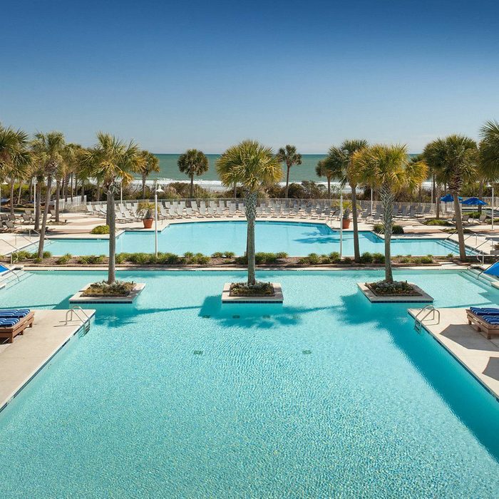 Pool, shimmering under sunlight, surrounded by palm trees and blue-striped loungers. Blue umbrellas provide shade, with the ocean visible in the background.