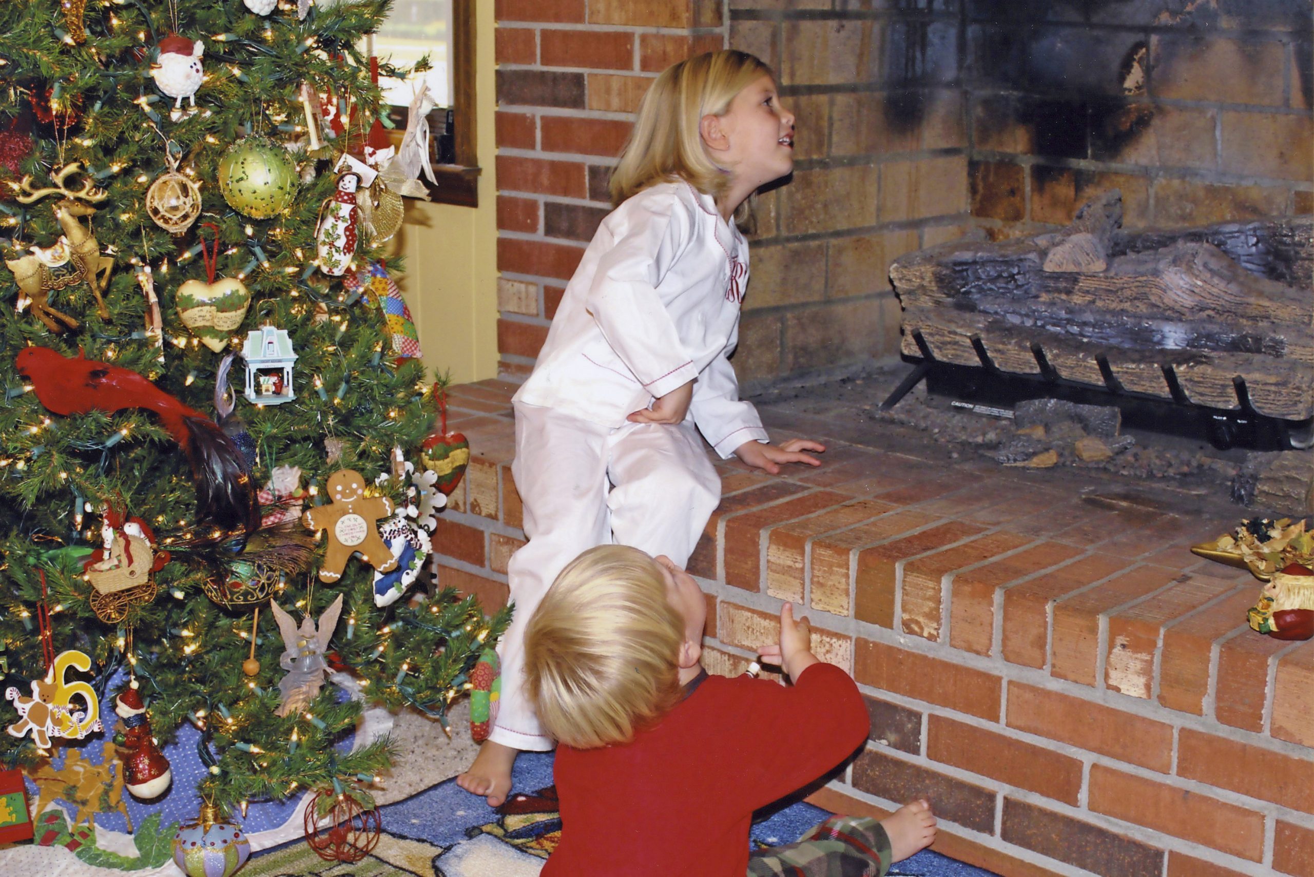 funny christmas photo