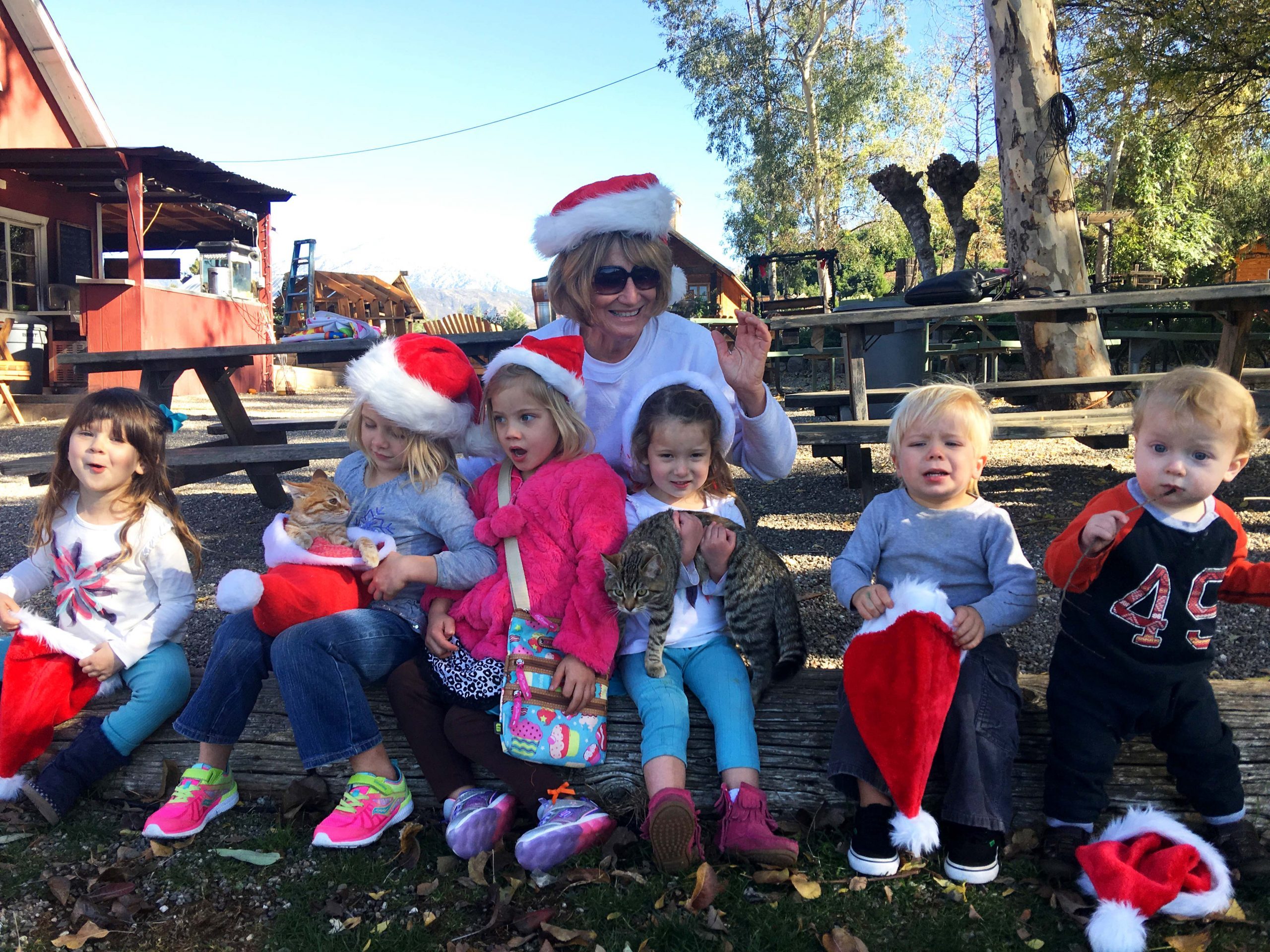 funny christmas photo