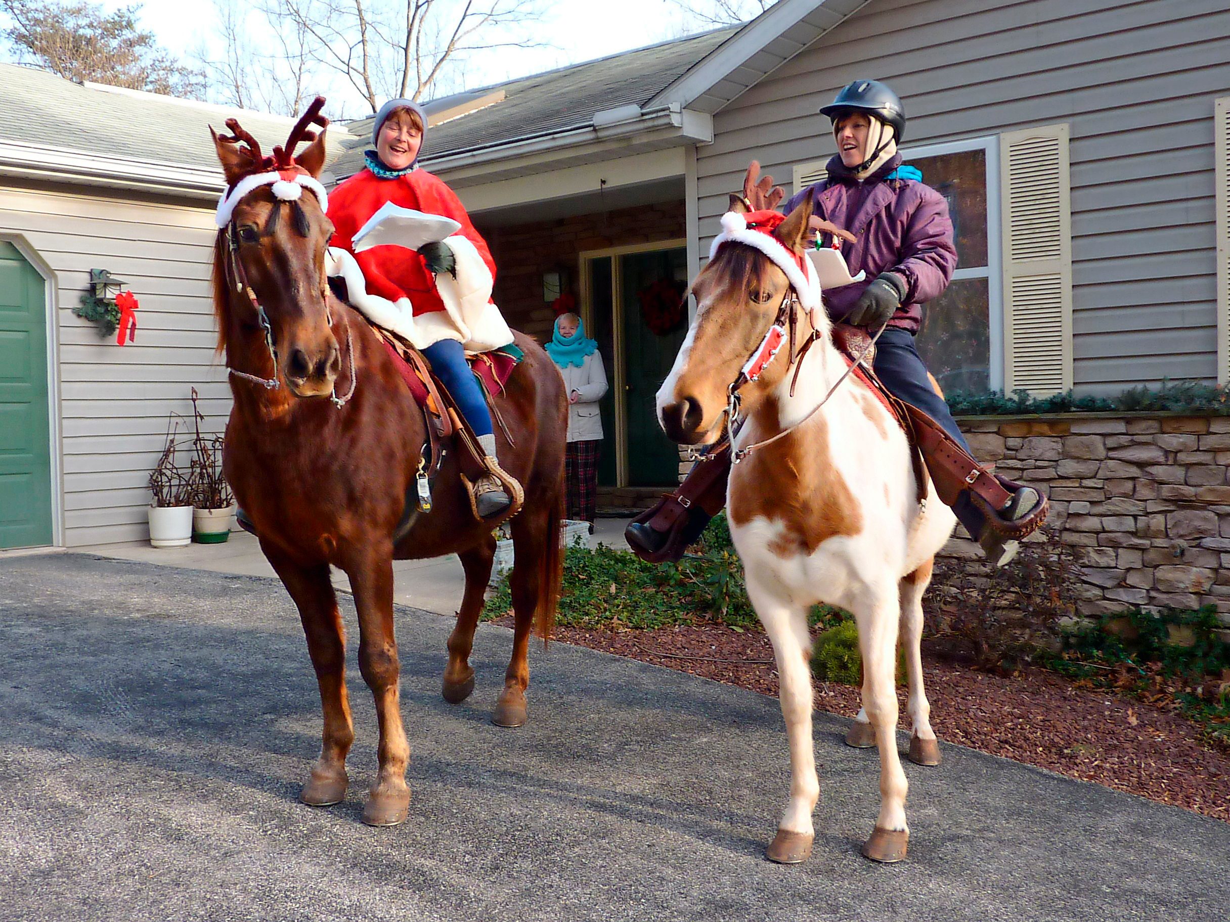 funny christmas photo
