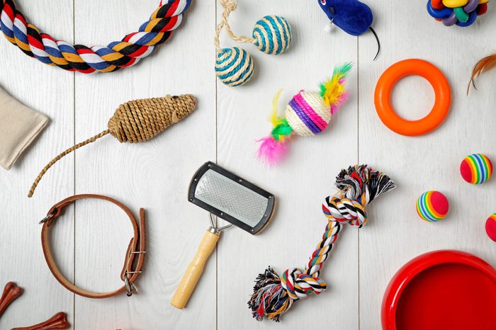 Flat lay composition with accessories for dog and cat on wooden background. Pet care