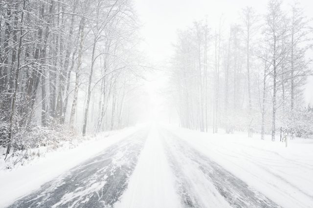 Road blanketed in snow stretches into foggy distance, flanked by snow-covered trees in a serene, wintry forest setting.