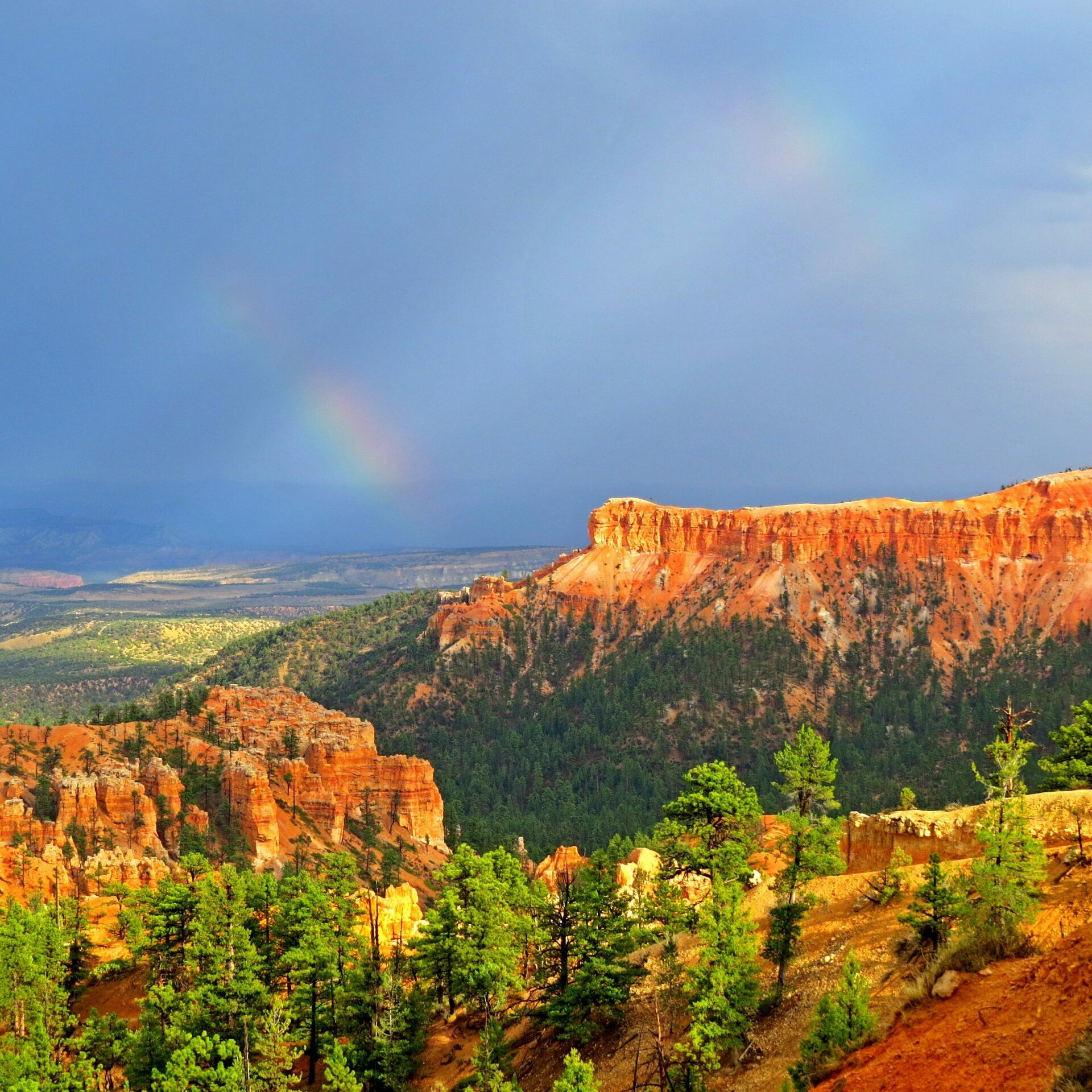 Rainbow arcs over red rock cliffs surrounded by green pine trees under a cloudy sky.