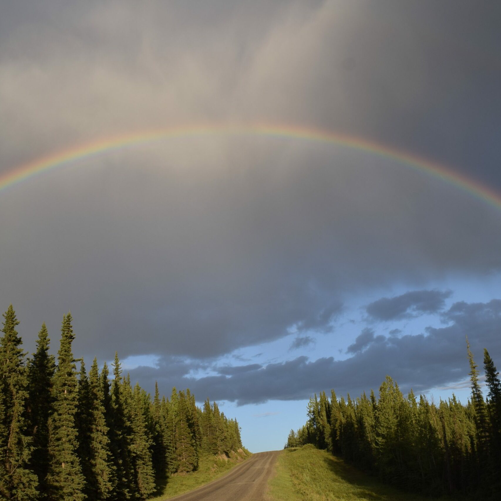 Rainbow arcs across cloudy sky above forested road lined with tall pine trees, under a moody atmosphere.
