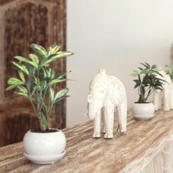 Wooden elephant figurines stand on a rustic shelf, flanked by small potted plants in a warmly lit room.