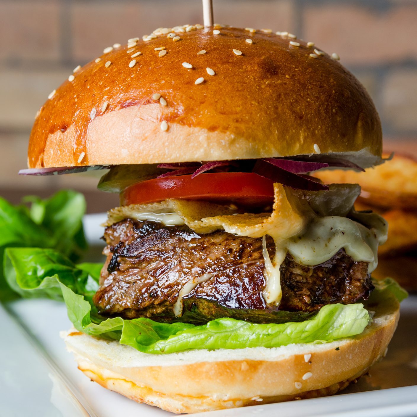 bison burger
