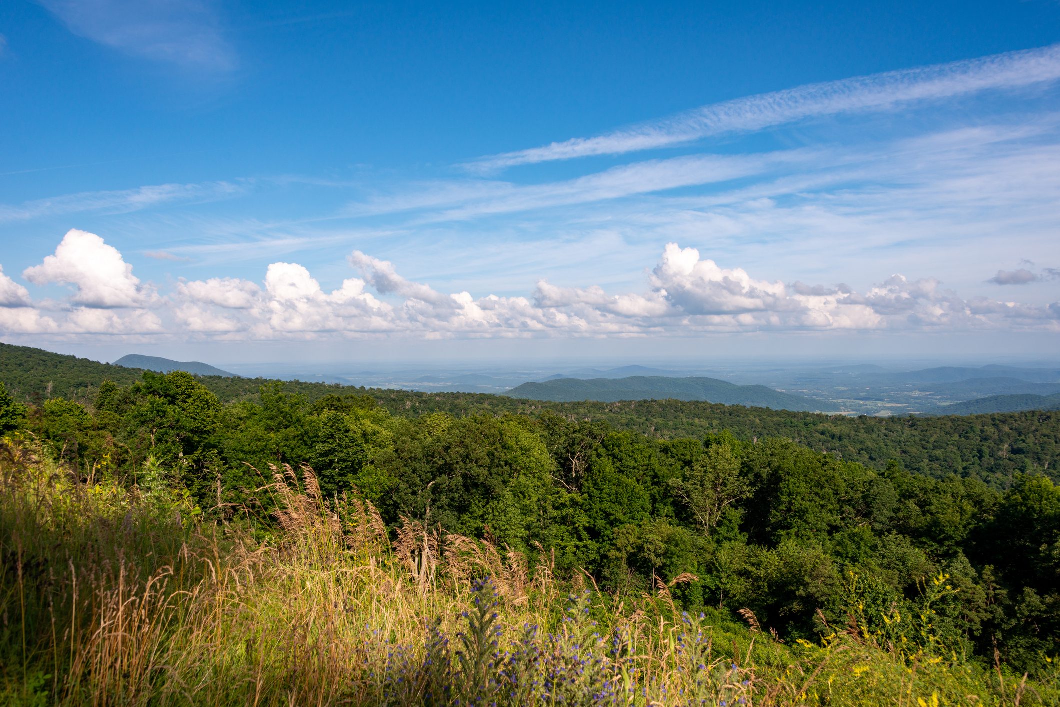 Shenandoah Valley
