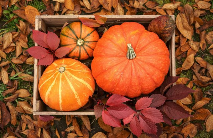 When Is the First Day of Fall? The Autumnal Equinox in 2025