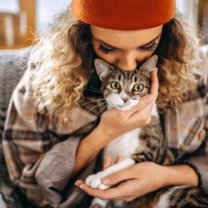 Cat sits calmly as a person cuddles it, indoors with cozy, warm decor.