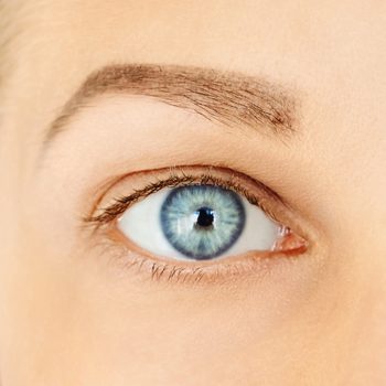 A blue eye gazes forward, surrounded by smooth skin and a well-defined eyebrow in a close-up view.