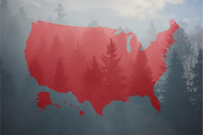 50 of the Spookiest Urban Legends from Every State