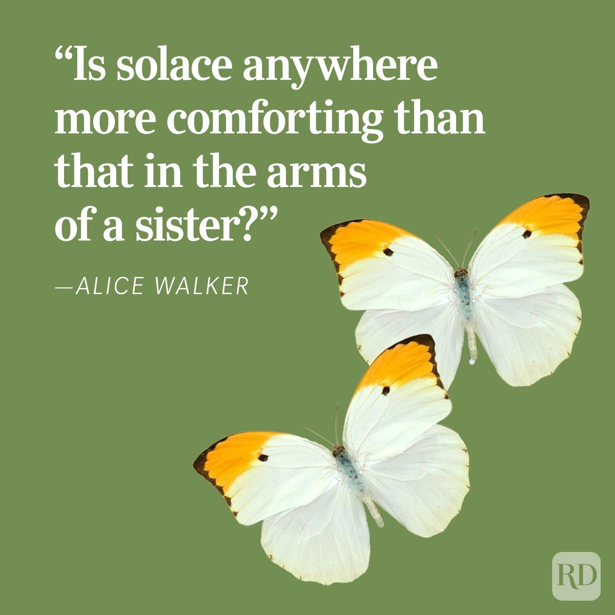 The Best Sister Quotes