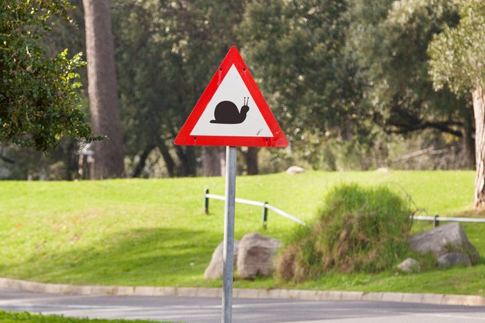 A triangular road sign warns of snails ahead, positioned beside a curved road in a lush park with green grass and trees.