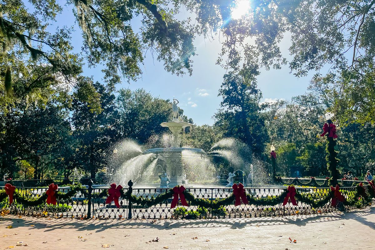 Savannah Guide