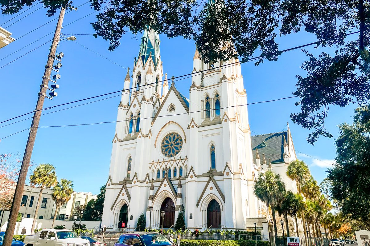 Savannah Guide