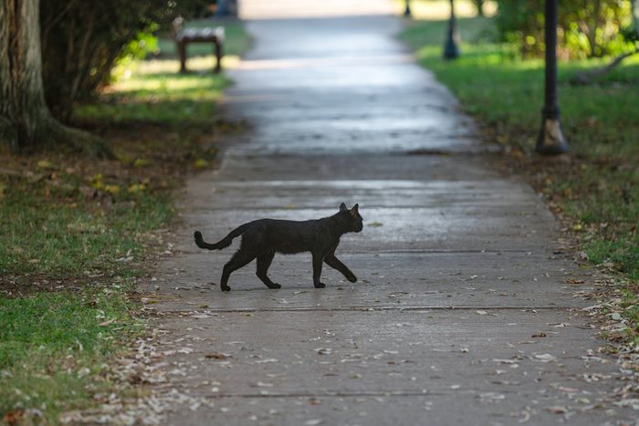 13 Surprising Things You Didn’t Know Were Considered Bad Luck