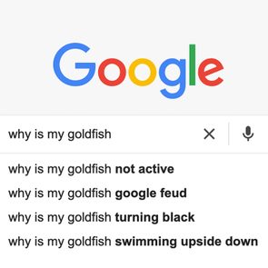 20 Funny Google Searches for When You’re Looking for Laughs
