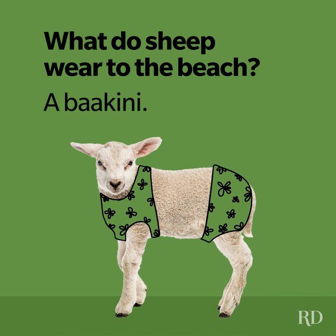 35 Sheep Puns That Are Perfect for Ewe