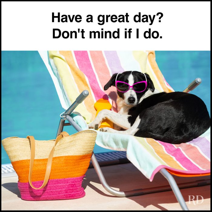 40 “Have a Great Day” Memes Guaranteed to Make You Chuckle