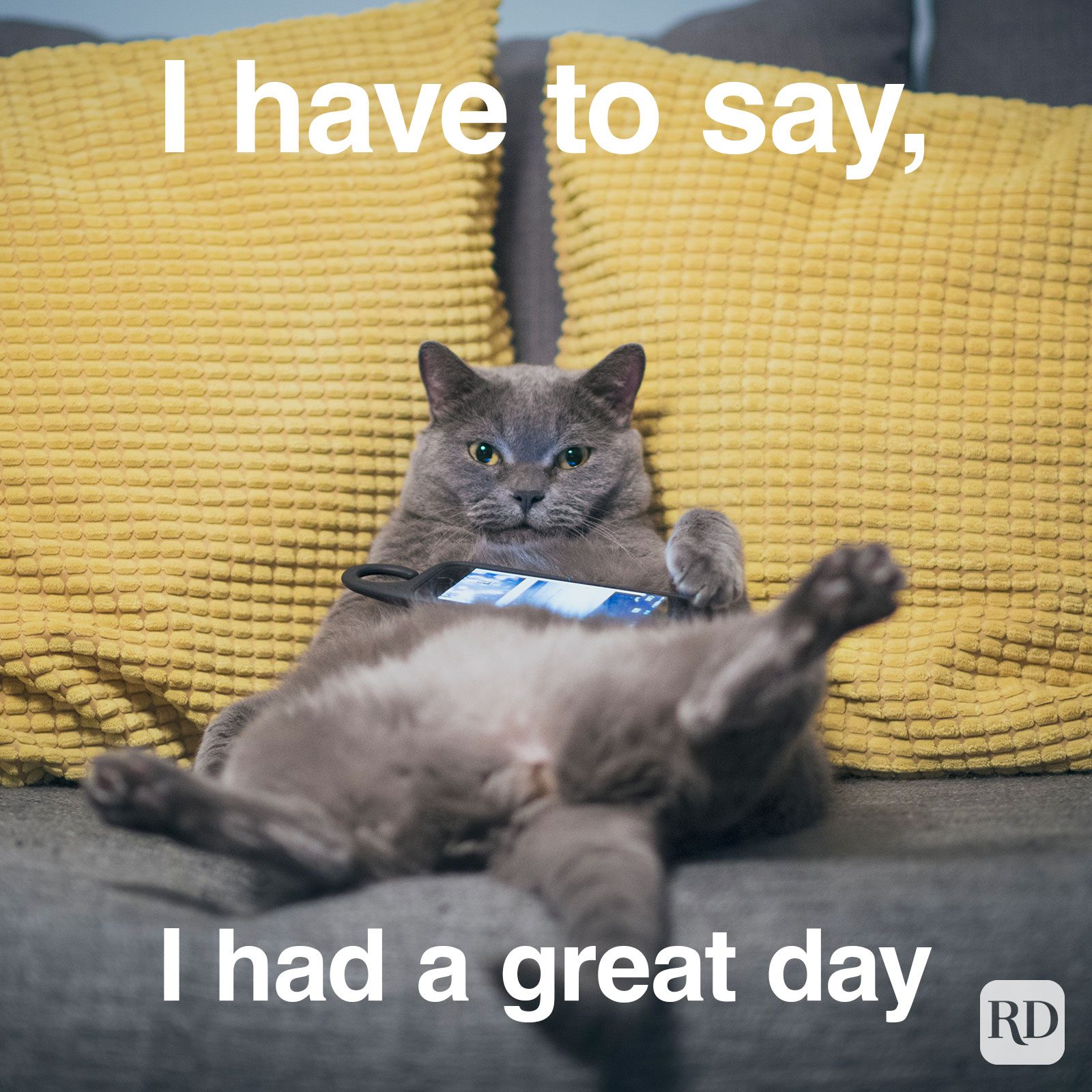 Have A Great Day Memes