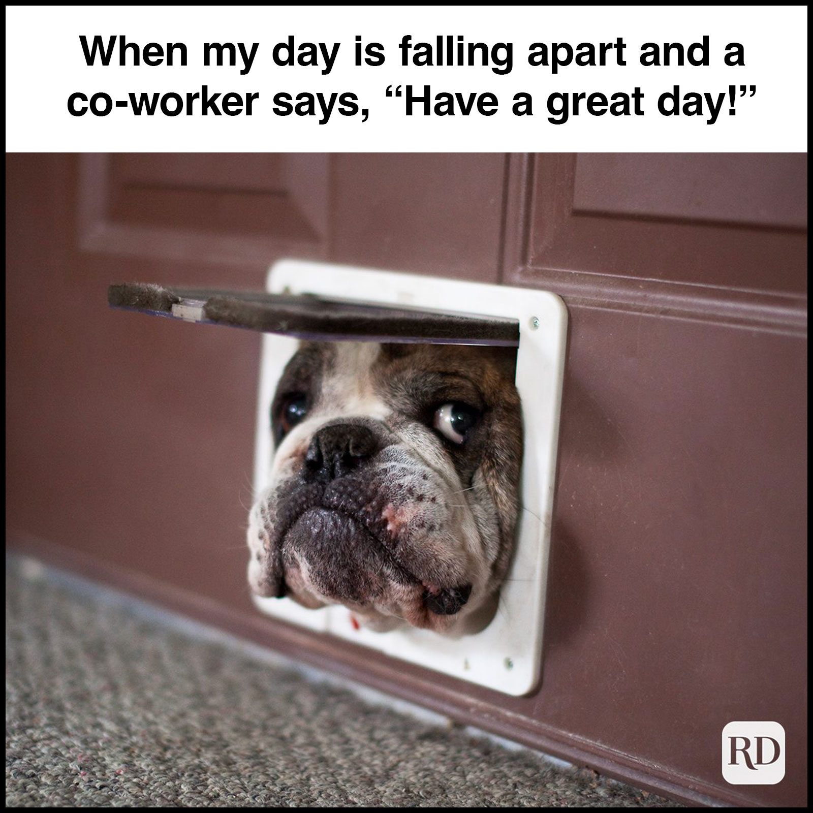 Have A Great Day Memes