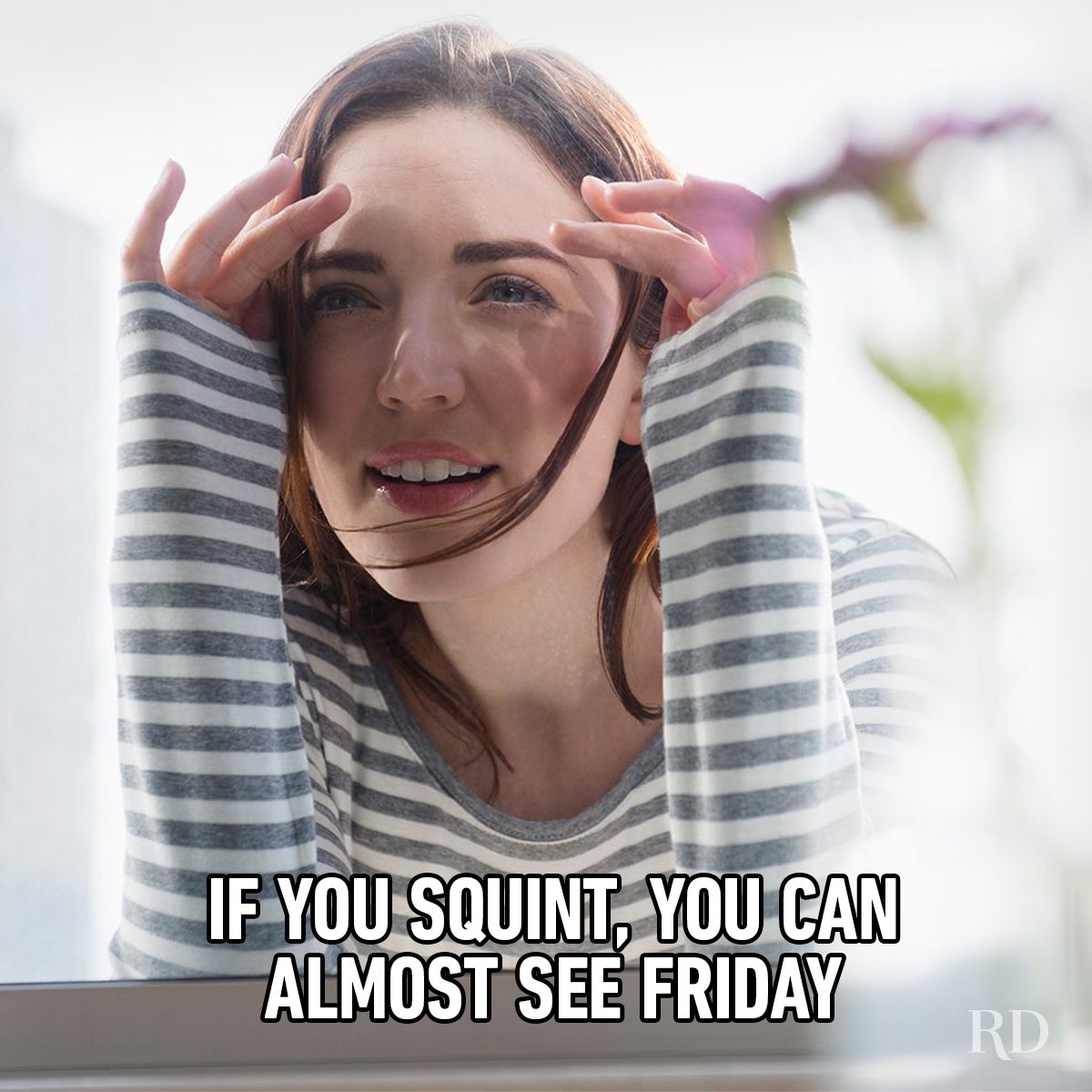 Hump Day Memes 12
