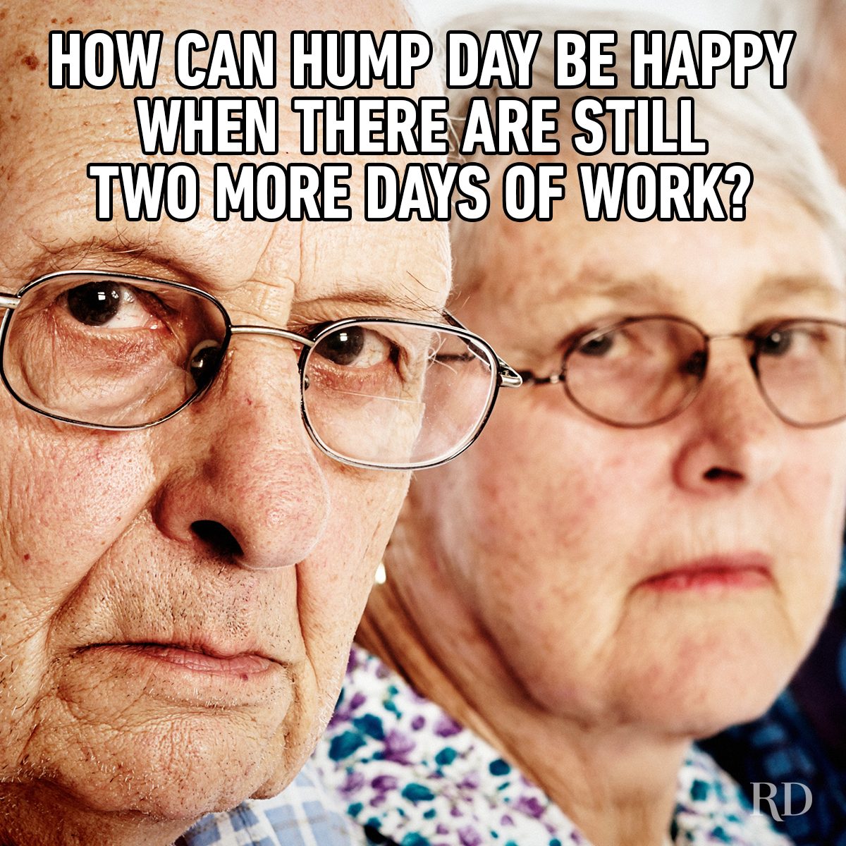 Hump Day Memes 4