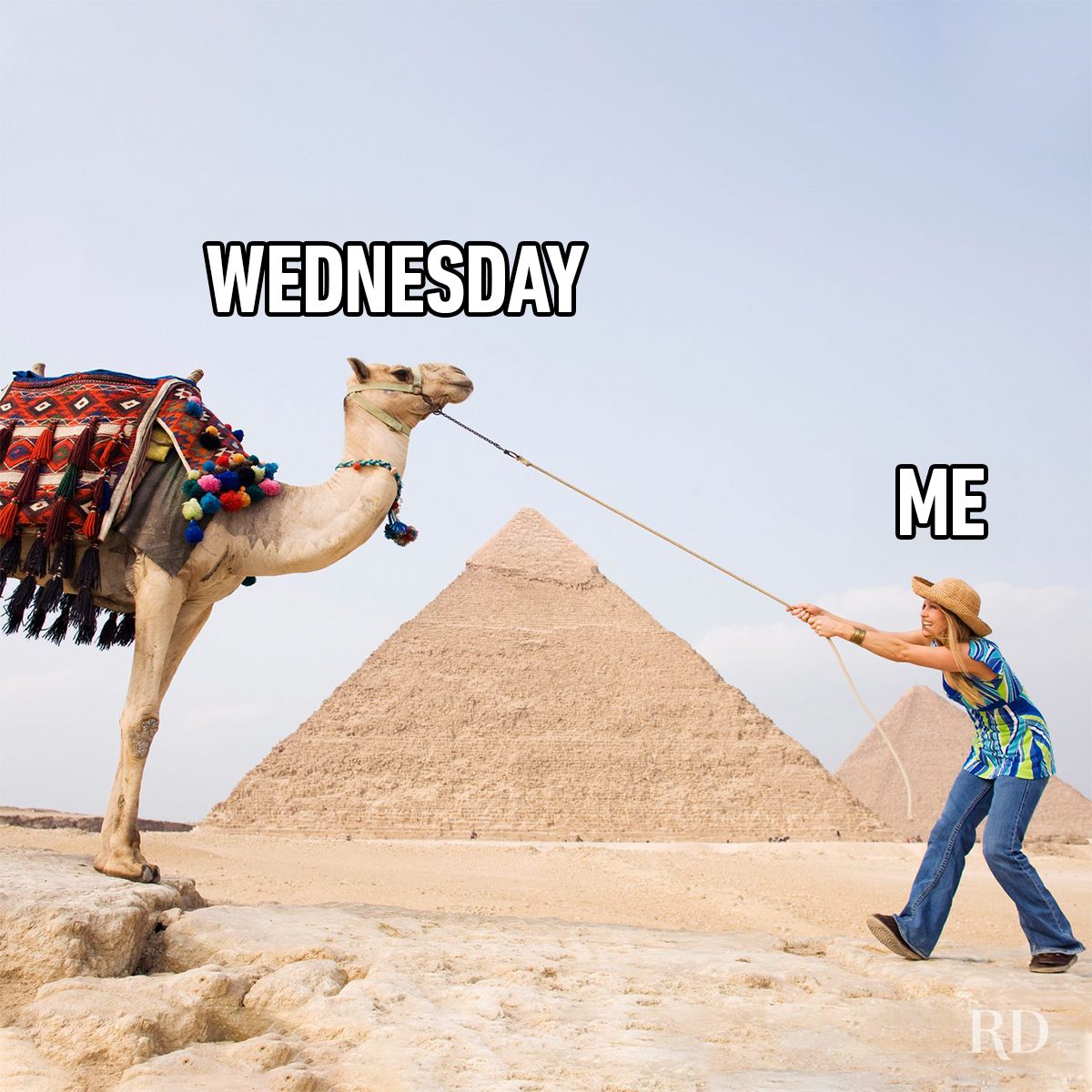 Hump Day Memes 6