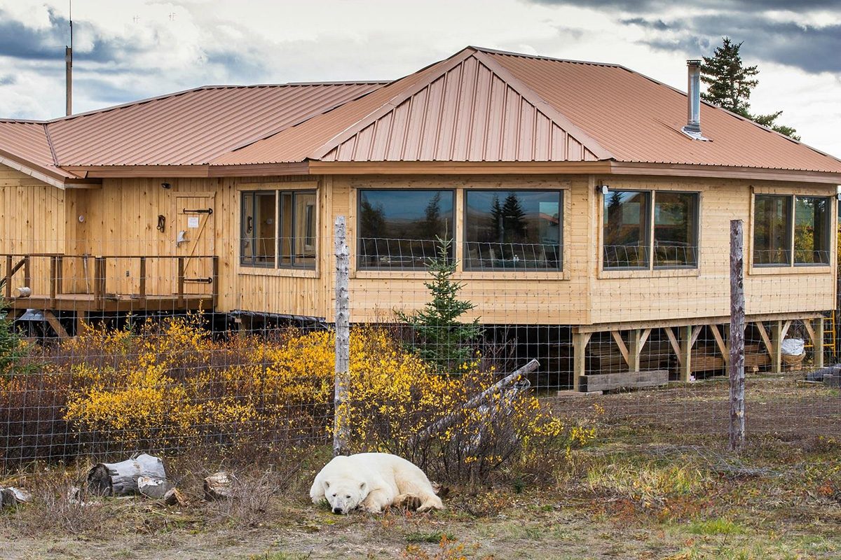 Nanuk Polar Bear Lodge In Manitoba Via Tripadvisor.com