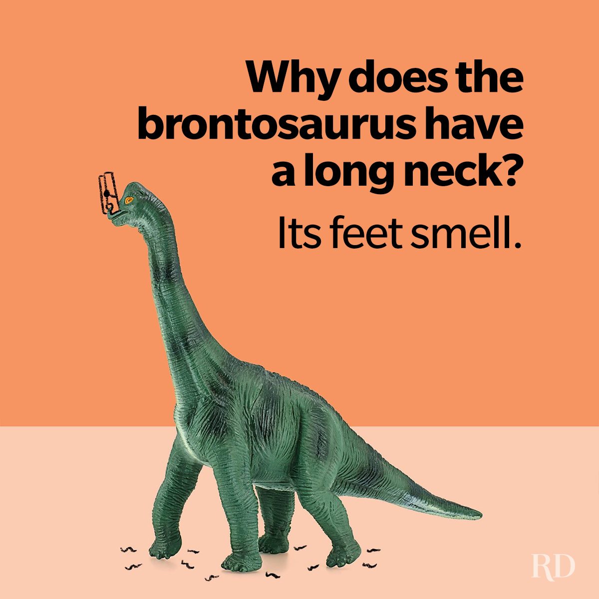Rockin Dinosaur Jokes