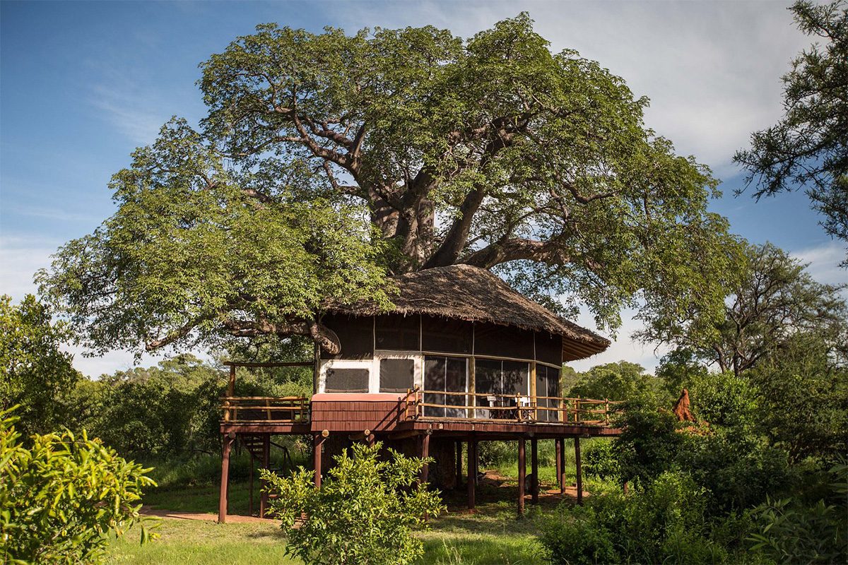 Tarangire Treetops By Elewana In Tarangire National Park Via Tripadvisor.com