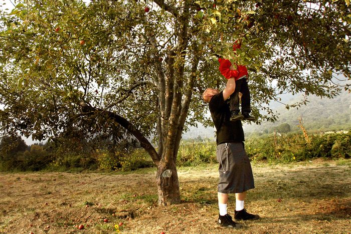 Matt Keding of Rialto lifts his son Evan,4, to pick an out of reach apple on a recent Saturday at Los Rios Ranch in Oak Glen