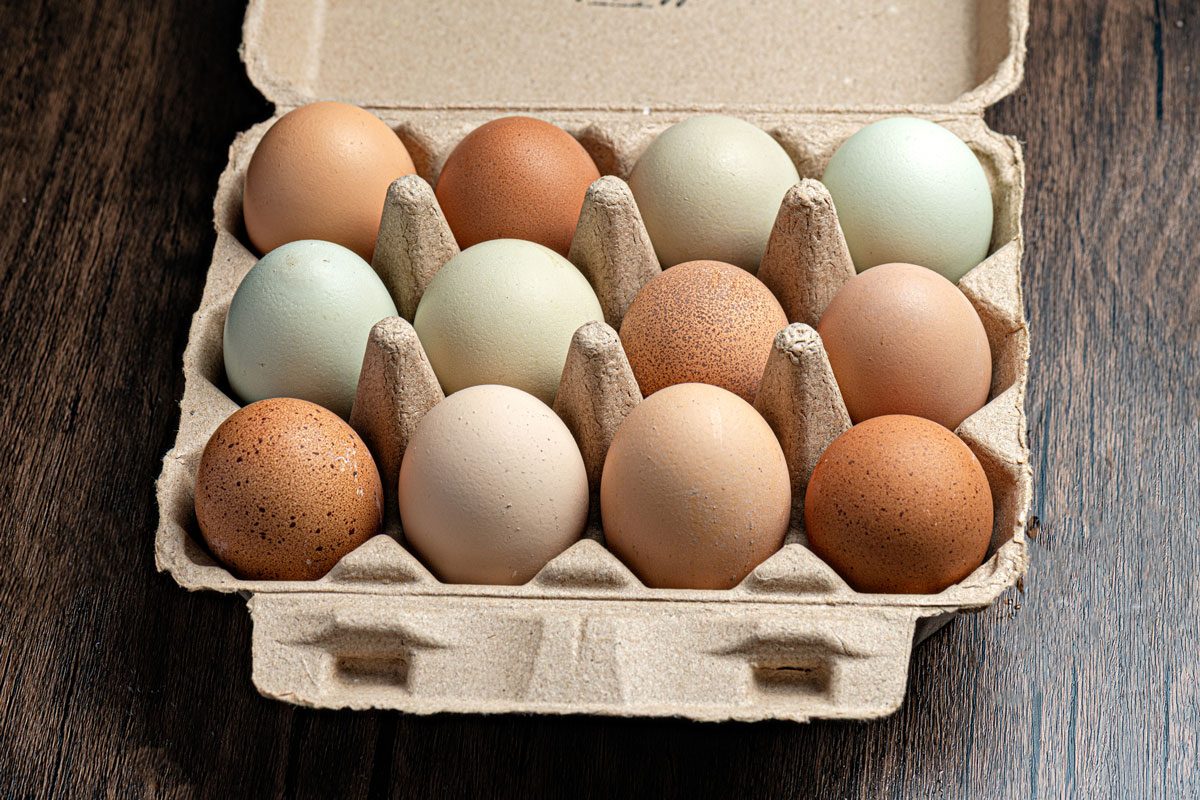 fresh laid eggs from a farm