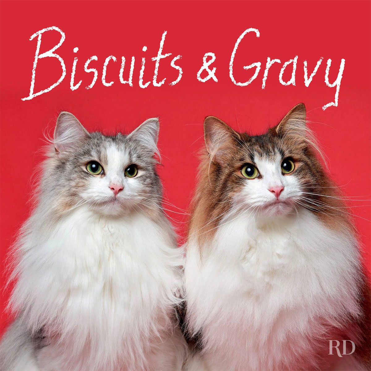 Two fluffy cats sit side by side against a red background. Text above reads "Biscuits & Gravy."