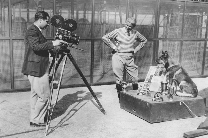 4 Dog Actors That Made More Money Than Humans
