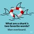 50 Shark Puns That Are Simply Fin-tastic