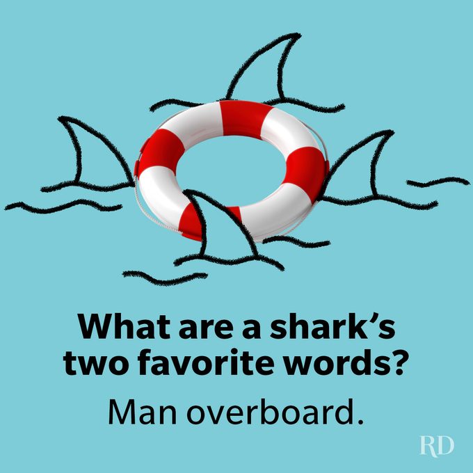 50 Shark Puns and Jokes That Are Simply Fin-tastic