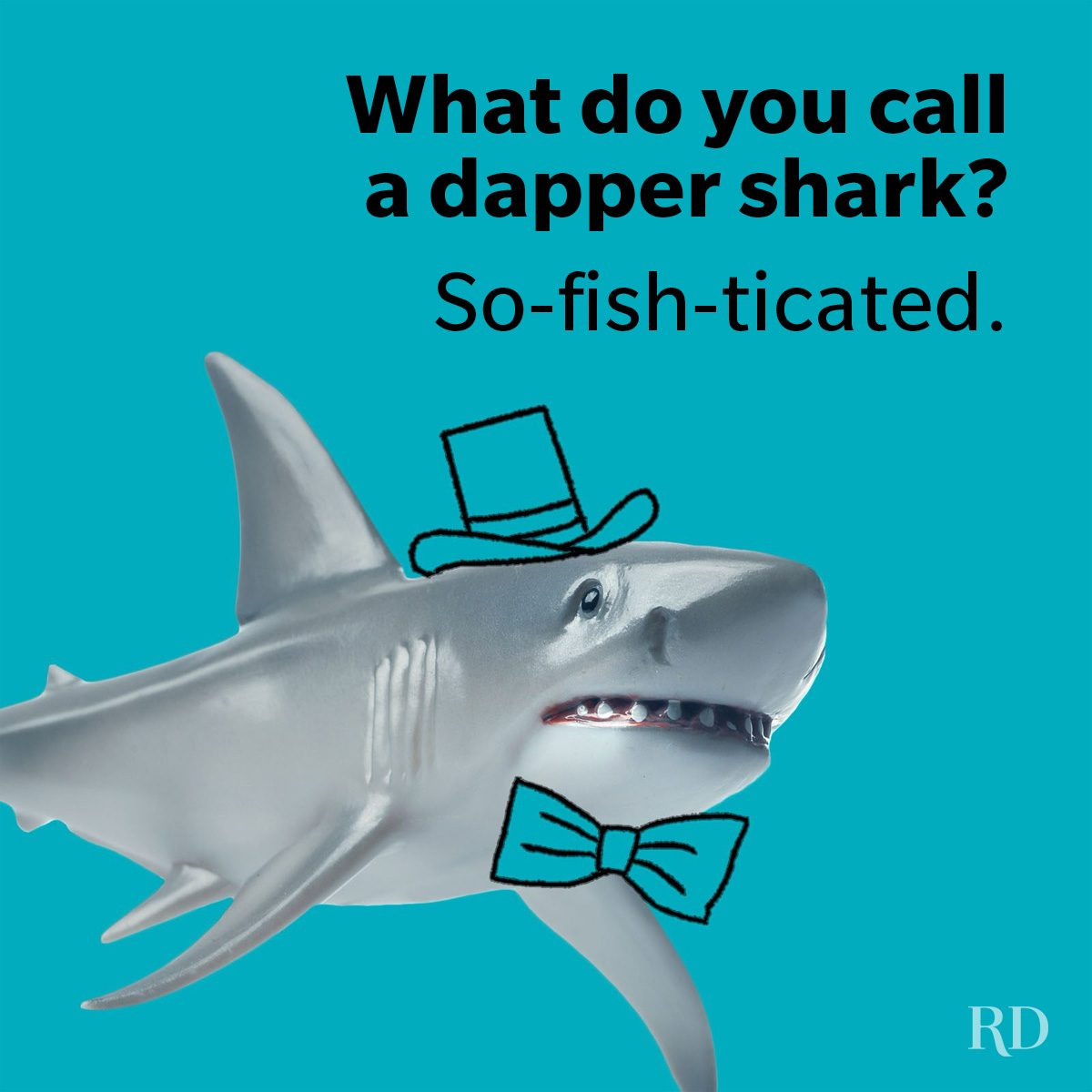 Shark Puns And Jokes