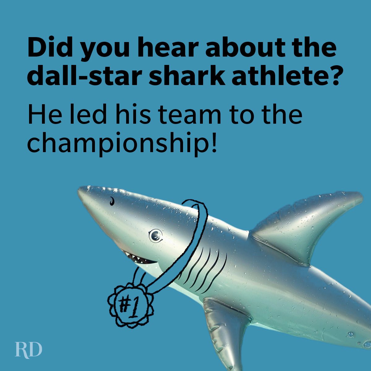 Shark Puns And Jokes