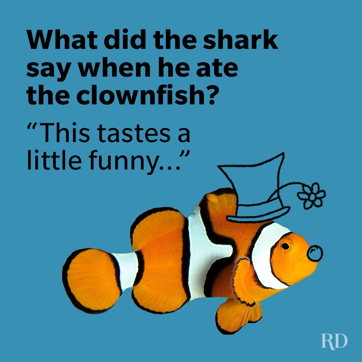 Shark Puns And Jokes