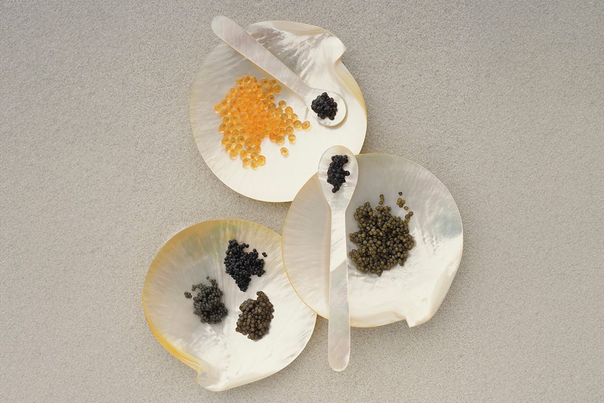 Three white shells hold small portions of black, yellow, and green spices or seeds. Each shell has a small translucent spoon resting on it, and the shells are arranged on a light gray surface.
